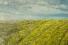 Peintures Sophie Pollini Peintre